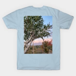 Sunset in a park T-Shirt